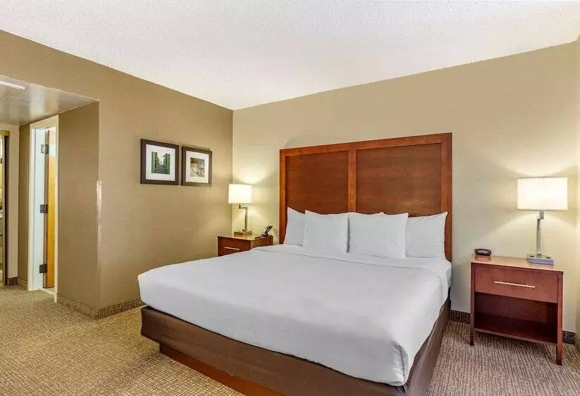 Отель Comfort Inn Quantico