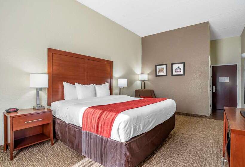 호텔 Comfort Inn & Suites Marianna I 10