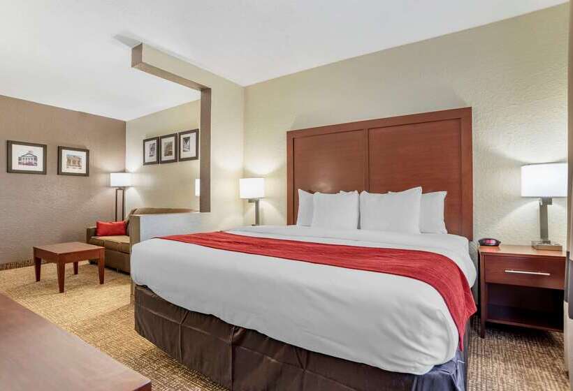 호텔 Comfort Inn & Suites Marianna I 10