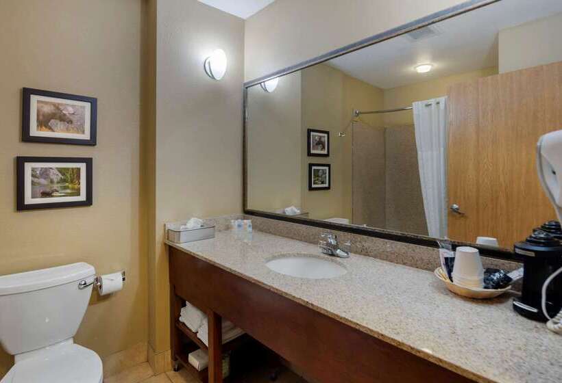 ホテル Comfort Suites Anchorage International Airport