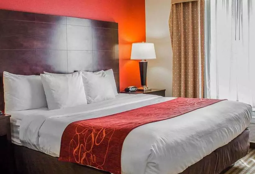 Hotel Comfort Suites Columbus East Broad