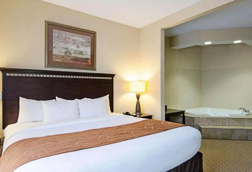 Отель Comfort Suites