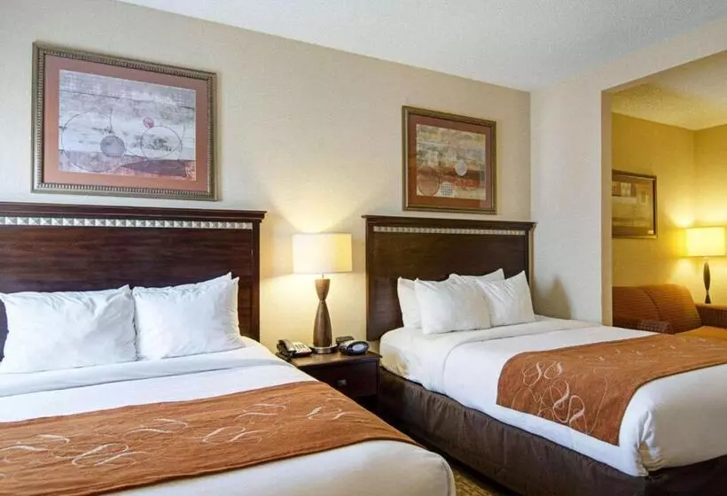 Отель Comfort Suites
