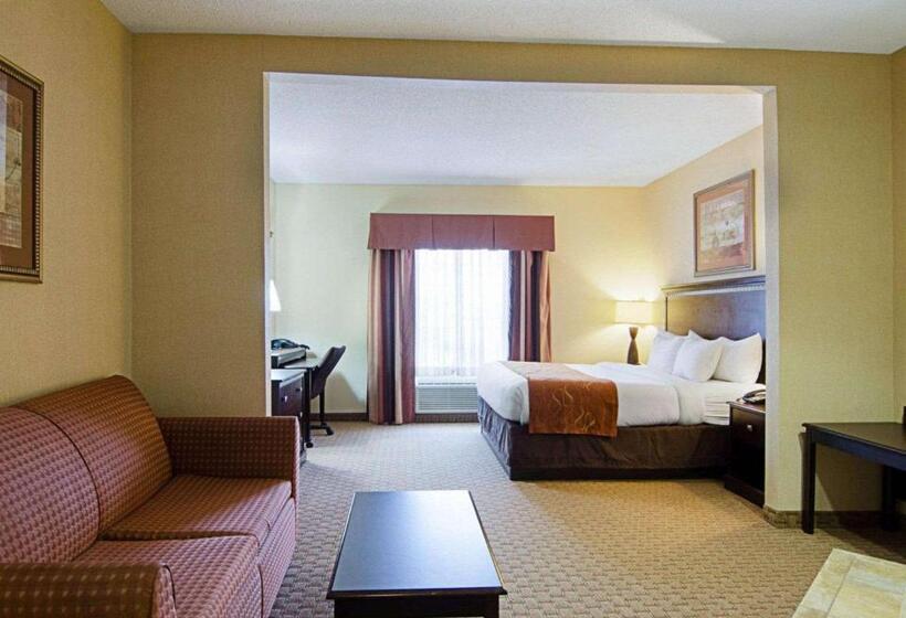 בית מלון כפרי Comfort Suites