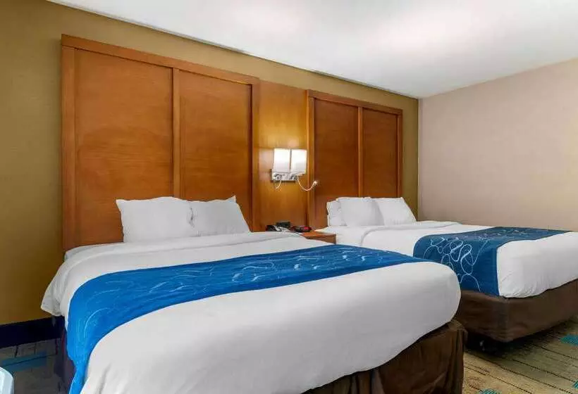 酒店 Comfort Suites Near Mcas Beaufort