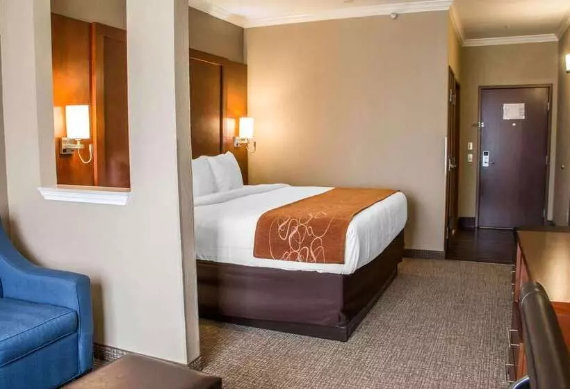 호텔 Comfort Suites