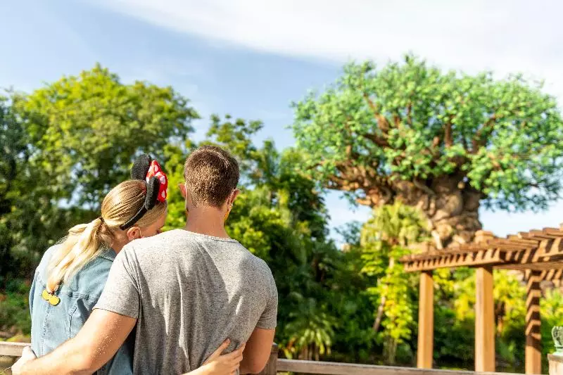 فندق Disney S Animal Kingdom Villas Jambo House