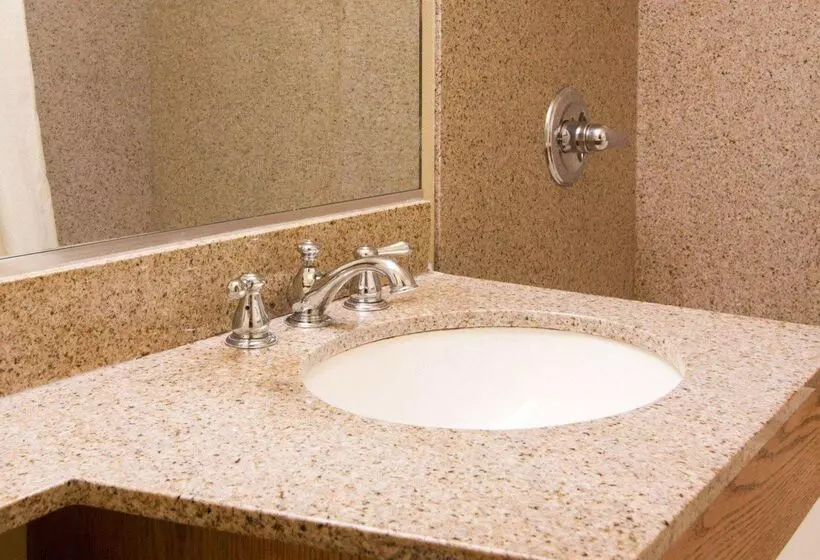 Отель Econo Lodge City Center