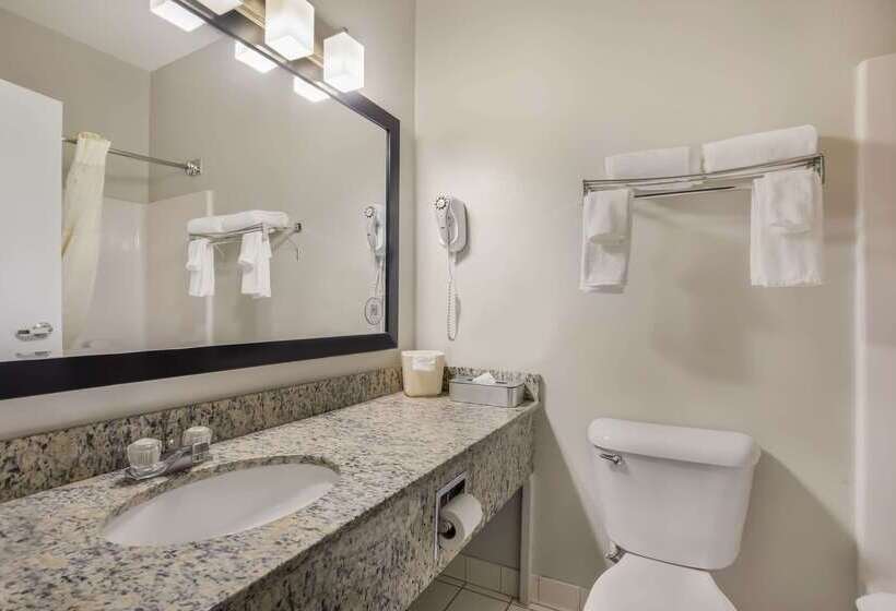 فندق Mainstay Suites Joliet I80