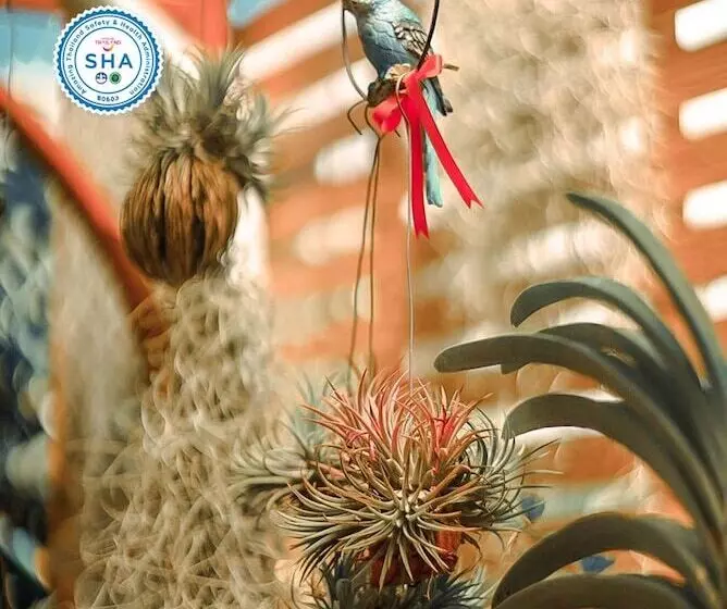 Mei Zhou Phuket Hotel Sha Plus