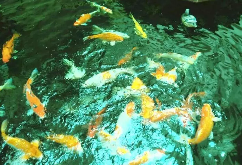 Mei Zhou Phuket Hotel Sha Plus