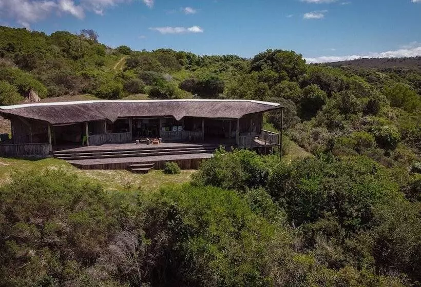 فندق Oyster Bay Lodge