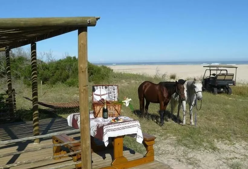 فندق Oyster Bay Lodge