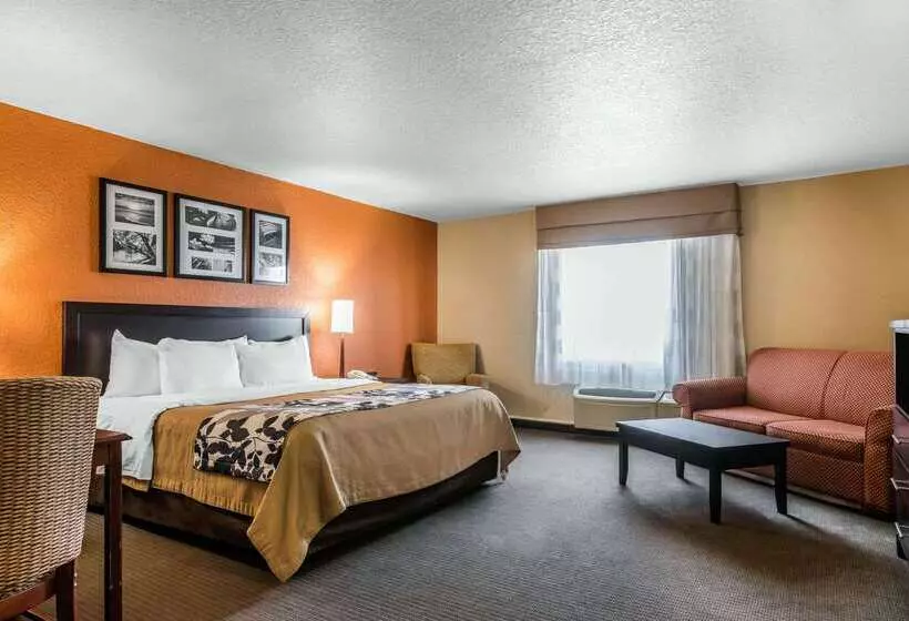 酒店 Sleep Inn & Suites Ocala   Belleview