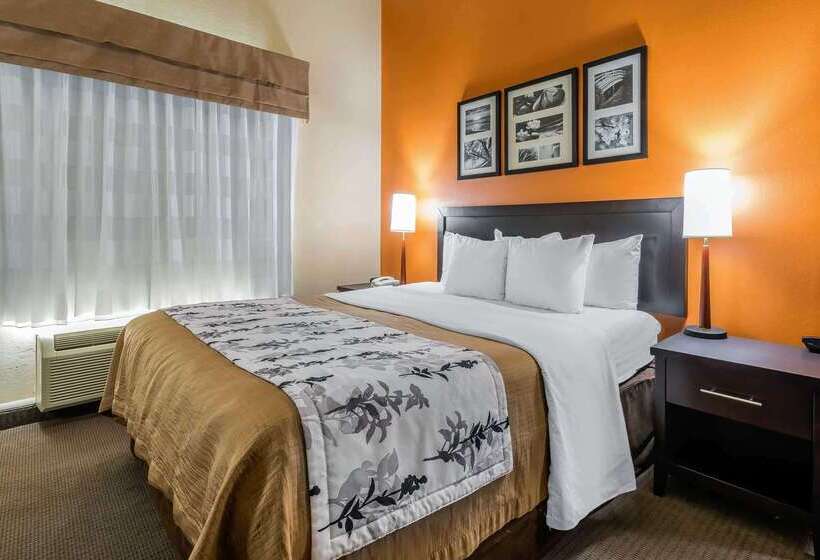 Отель Sleep Inn & Suites Ocala   Belleview