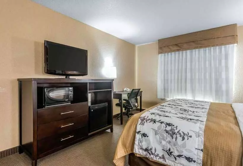酒店 Sleep Inn & Suites Ocala   Belleview