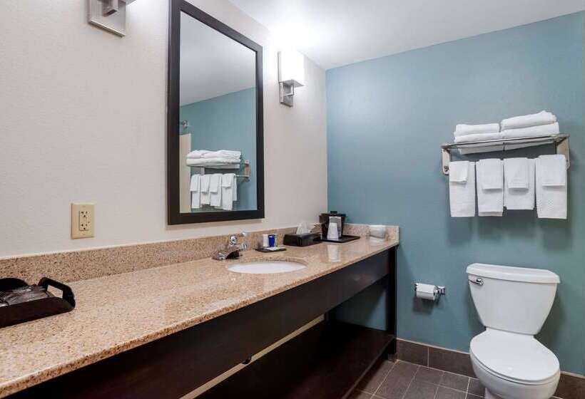 فندق Sleep Inn & Suites Auburn Campus Area I85