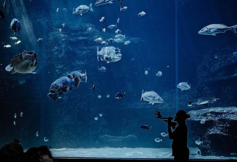 酒店 Taj Cape Town