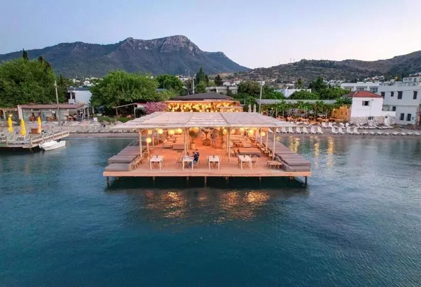 Faros Bodrum Hotel   Special Category