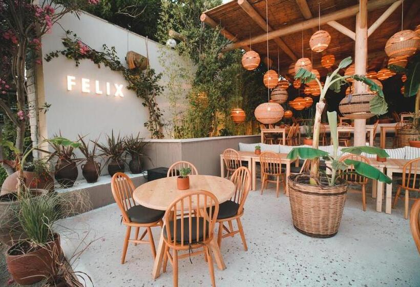 Faros Bodrum Hotel   Special Category