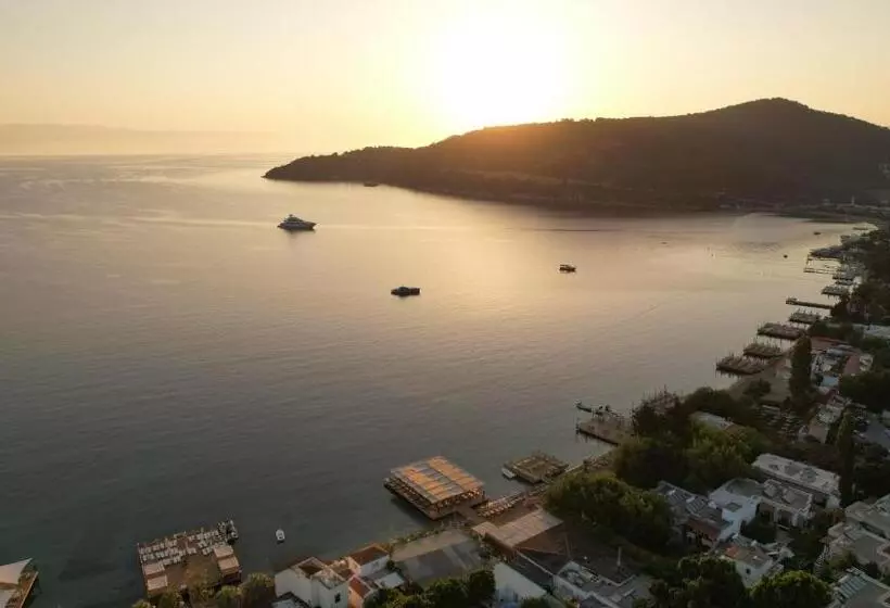 Faros Bodrum Hotel   Special Category