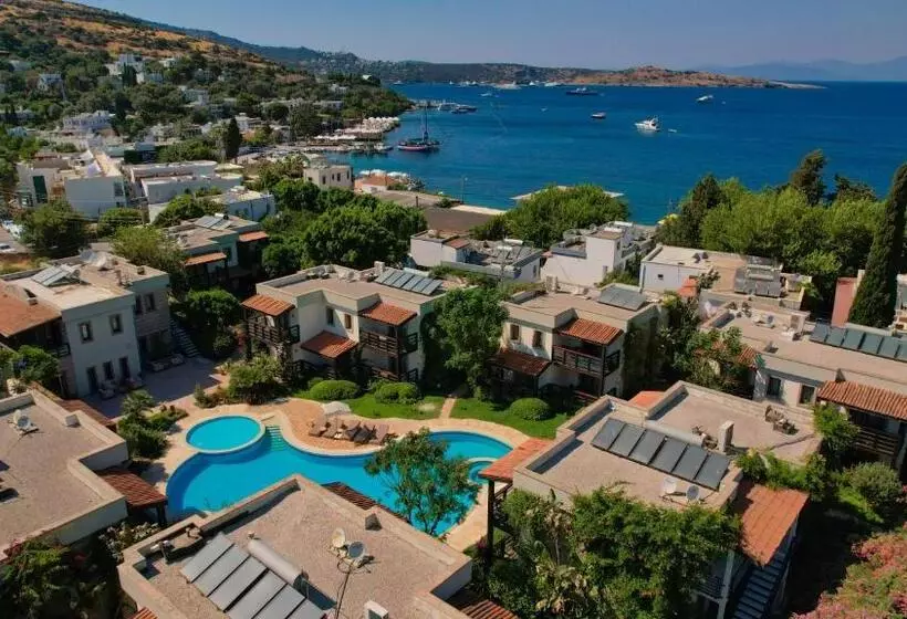 Faros Bodrum Hotel   Special Category