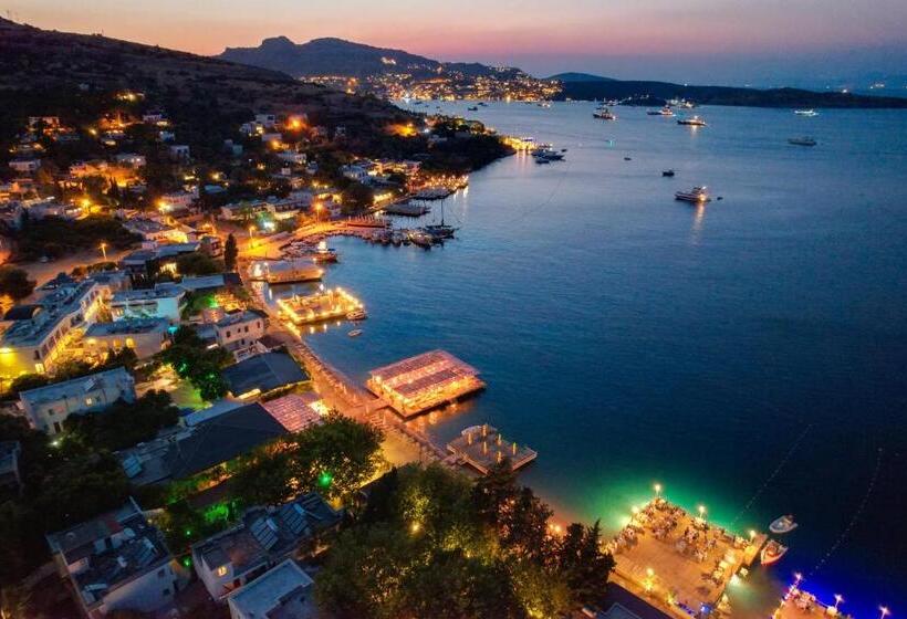 Faros Bodrum Hotel   Special Category