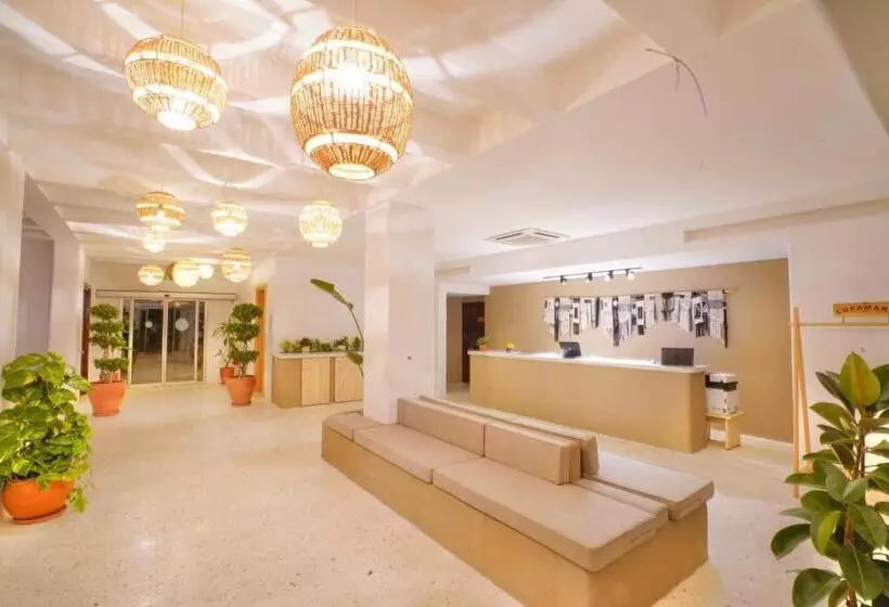 Faros Bodrum Hotel   Special Category