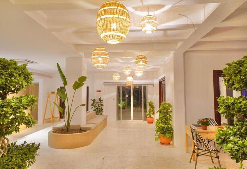 Faros Bodrum Hotel   Special Category