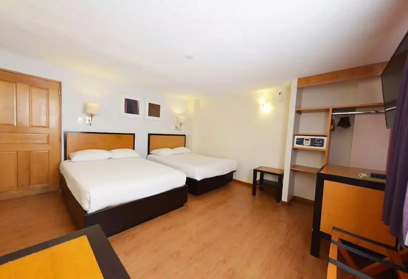 Отель Centro 19