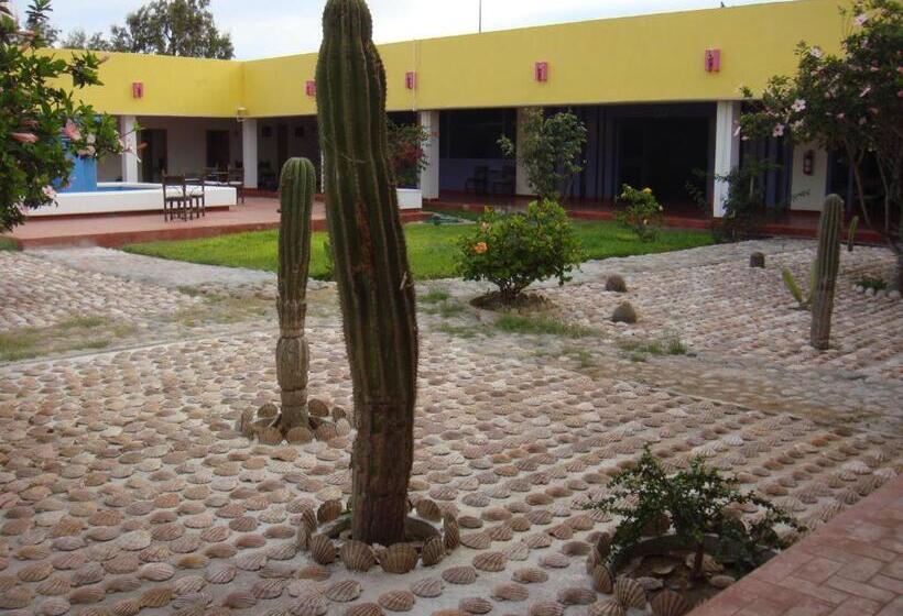 בית מלון כפרי The Halfway Inn