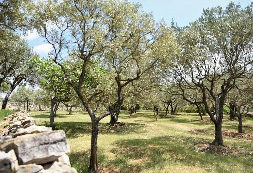 ベッドアンドブレックファースト Pantaiahomes   My Little Garden   Piscine   Vue Panoramique