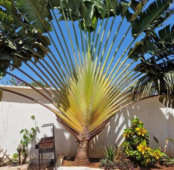 مبيت وإفطار Villa Kumi