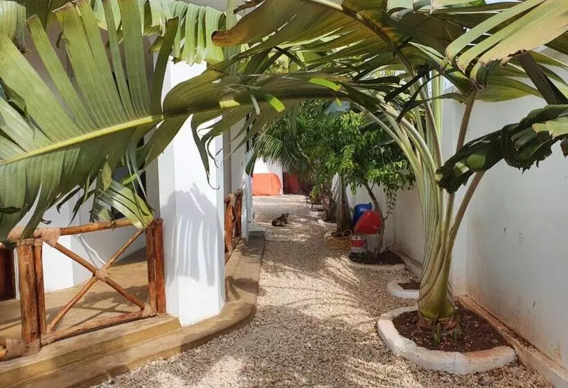 تختخواب و صبحانه Villa Kumi