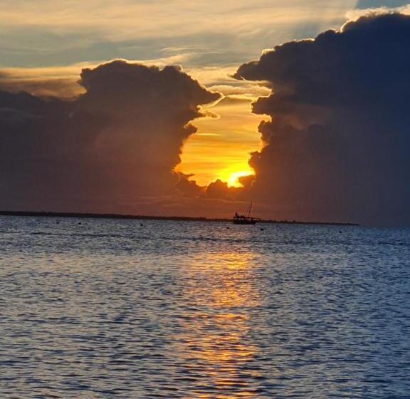 مبيت وإفطار Villa Kumi