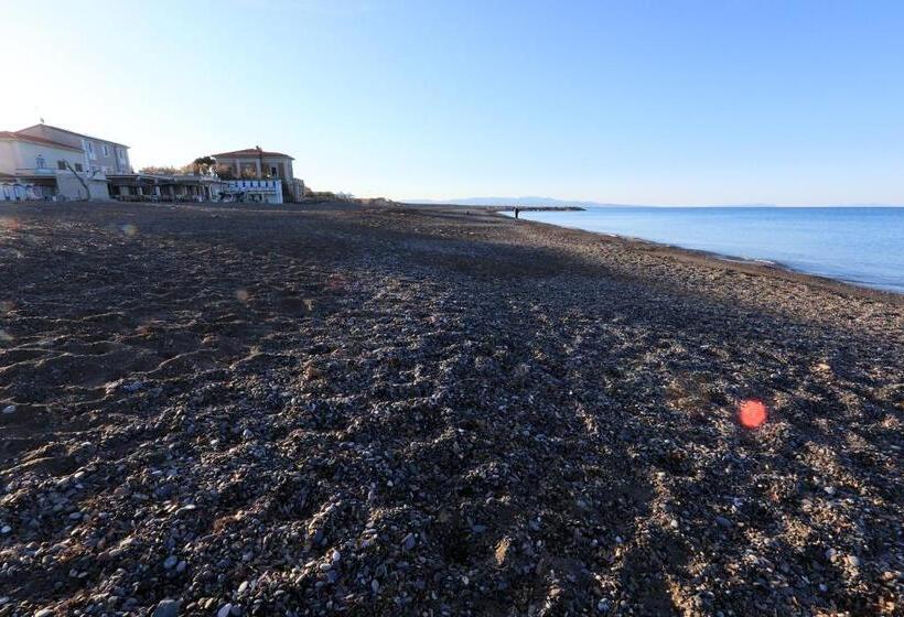 호텔 Cecina Beach