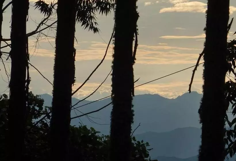 Hotelli Latibule Glamping