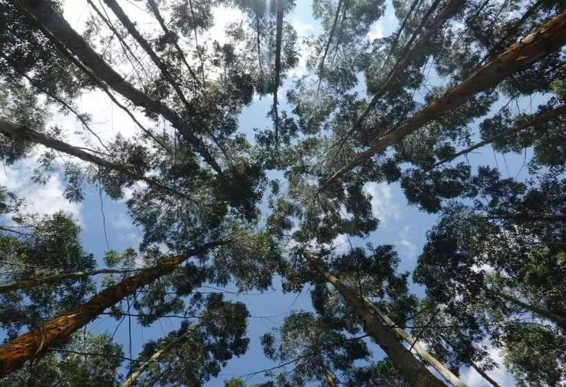 Hotelli Latibule Glamping