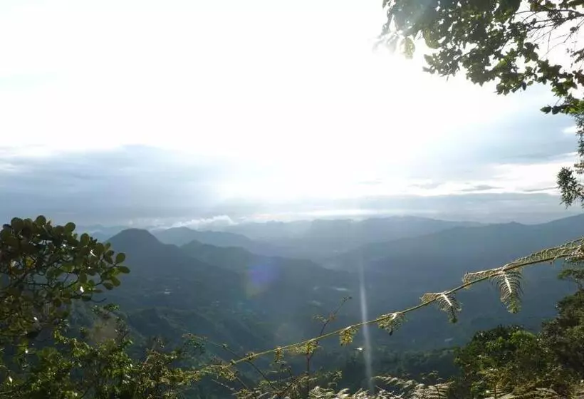 Hotelli Latibule Glamping