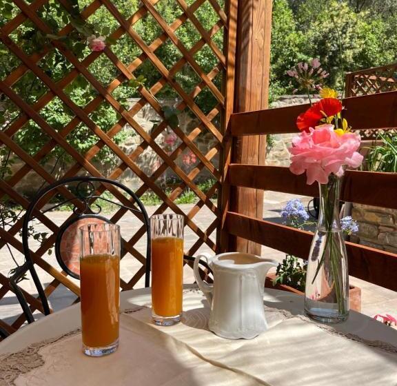 B&b La Fucinaia Pet Friendly Adults Only