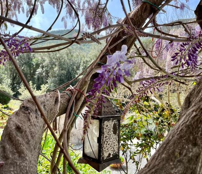 B&b La Fucinaia Pet Friendly Adults Only