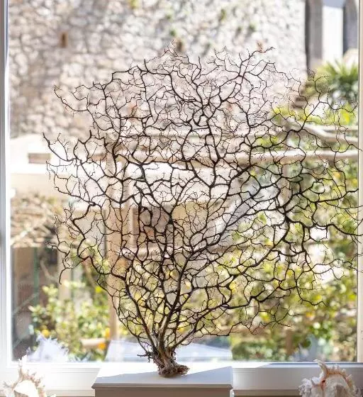 پانسیون Casa Dani Capri