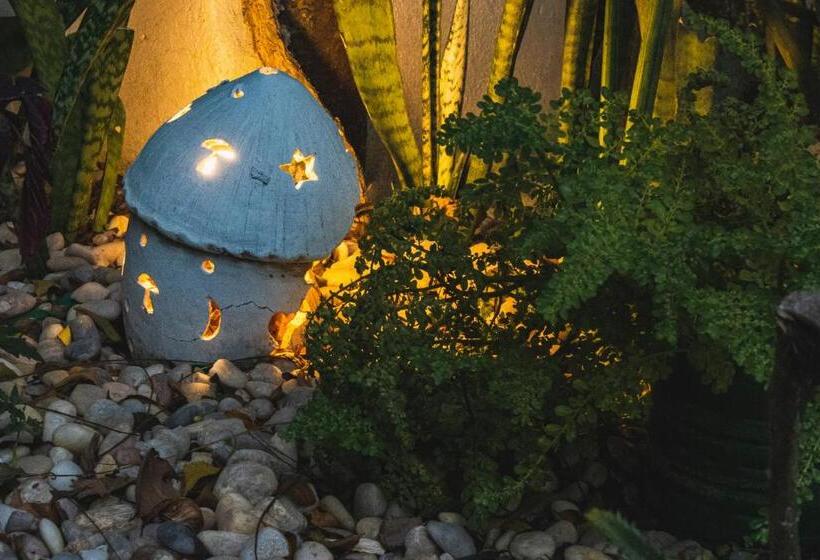 Pensione Pousada Jerimagia