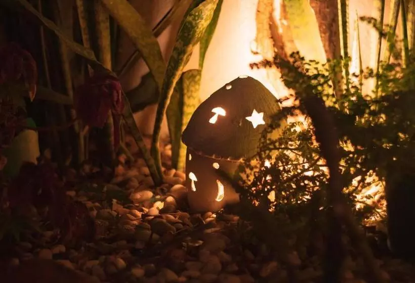 ペンション Pousada Jerimagia