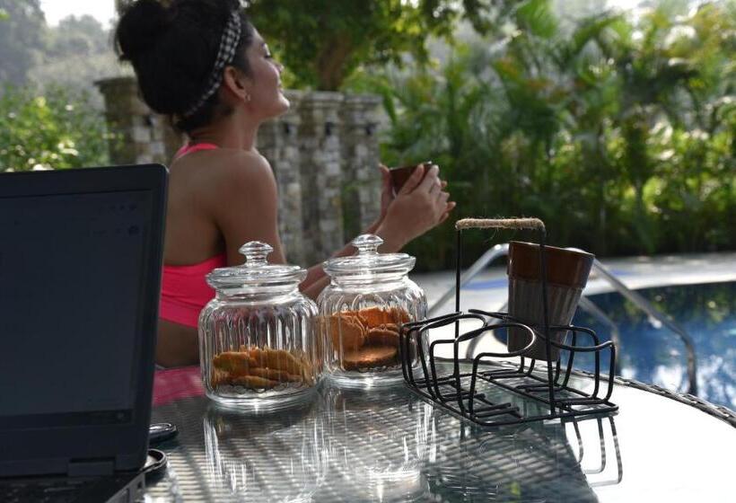 אתר נופש Tree Of Life Vanvilas Riveredge Corbett