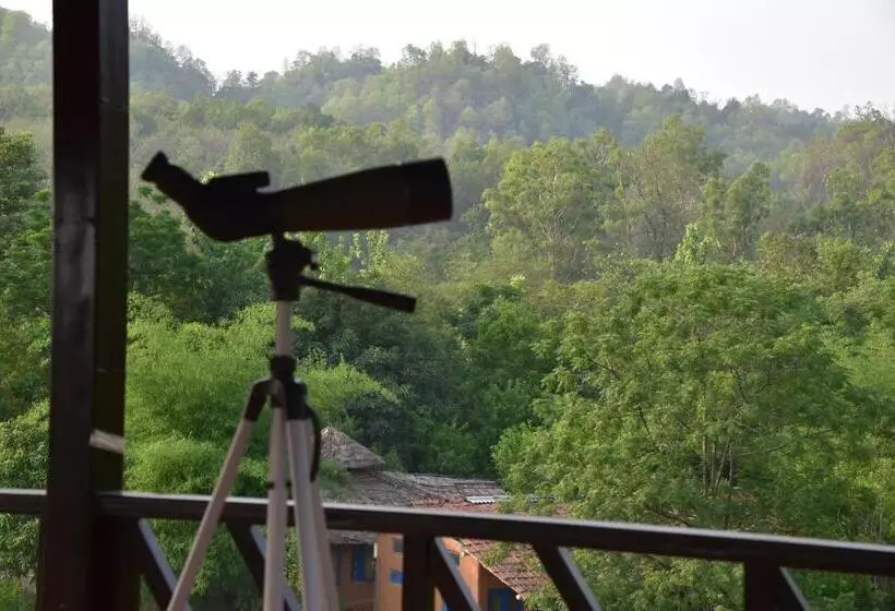 Lomakeskus Tree Of Life Vanvilas Riveredge Corbett