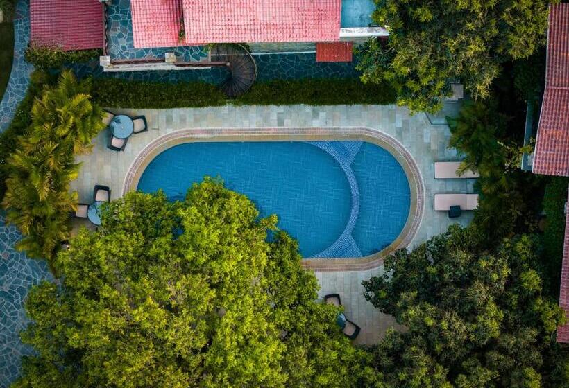 אתר נופש Tree Of Life Vanvilas Riveredge Corbett