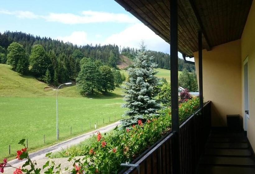 Пансион Volenter Gästehaus