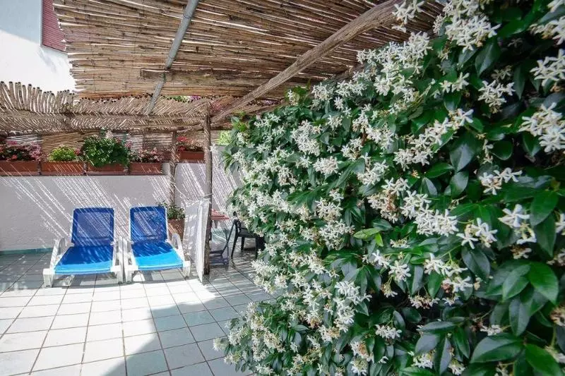 Отель Bellevue Suite