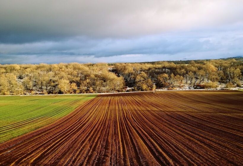 Отель Boutique Real Casona De Las Amas